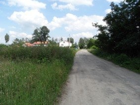 Działka rolno-budowlana — zdjęcie 1