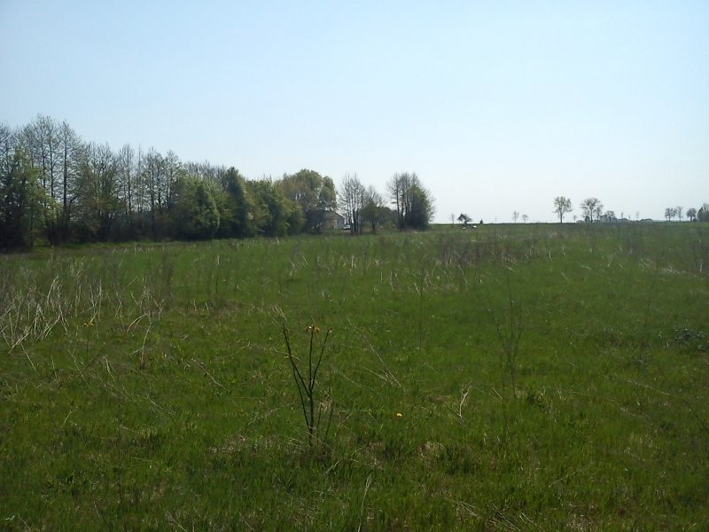 ziemia rolno-budowlana 3,32 ha gmina Płońsk — zdjęcie 2
