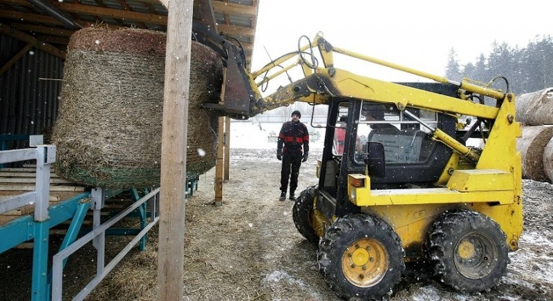 Linie do produkcji agropeletu — zdjęcie 4