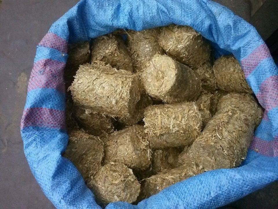 Brykiet z Miskanta olbrzymiego