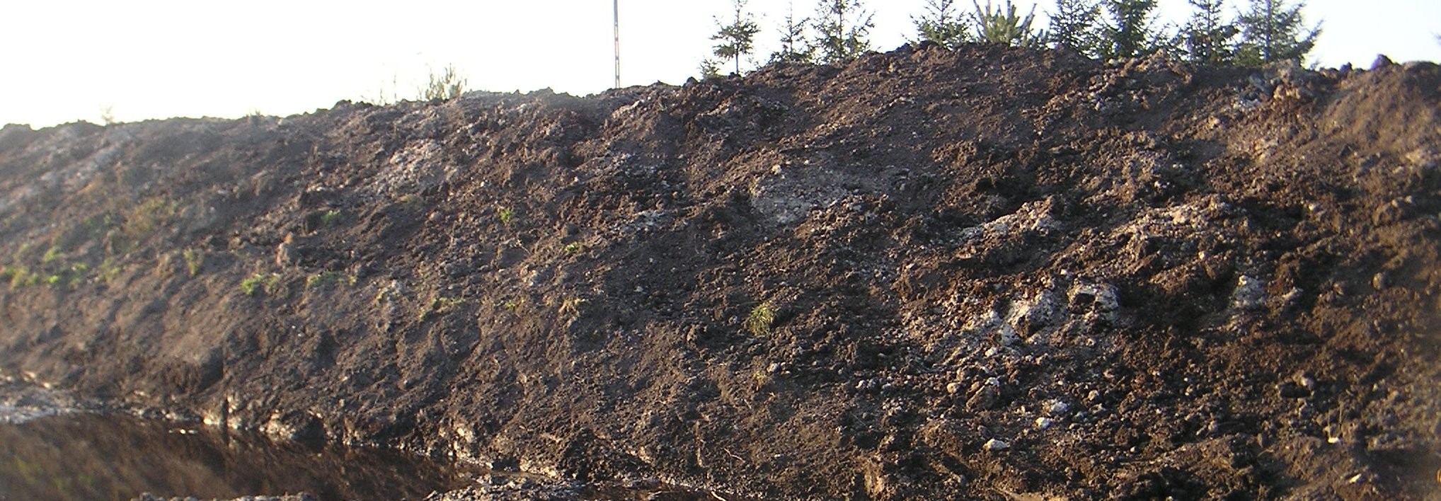 TORF — zdjęcie 1