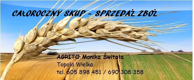 KUPIĘ PSZENŻYTO