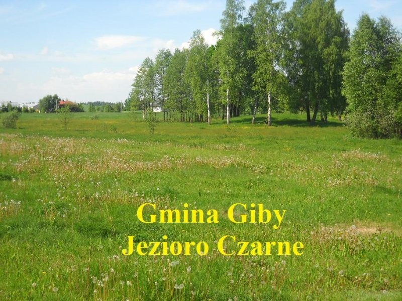 (41) Działka pod rekreację na Poj. Sejneńskim — zdjęcie 3