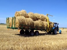  Ukraina.Sloma zbozowa,rzepakowa,lniana.Od 70 zl/tona.Grunty rolne