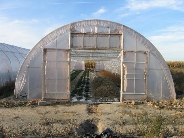 tunel foliowy — zdjęcie 1