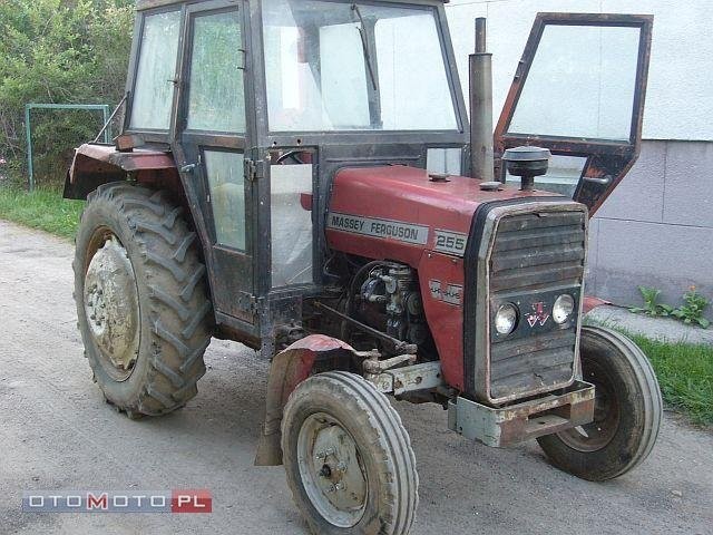 Kupię Ursusa,Zetora,Władymirca t-25,MF,MTZ, lub in — zdjęcie 2