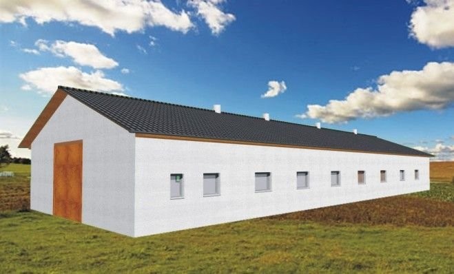 Projekt gotowy obory dla bydła opasowego WA-006 — zdjęcie 1