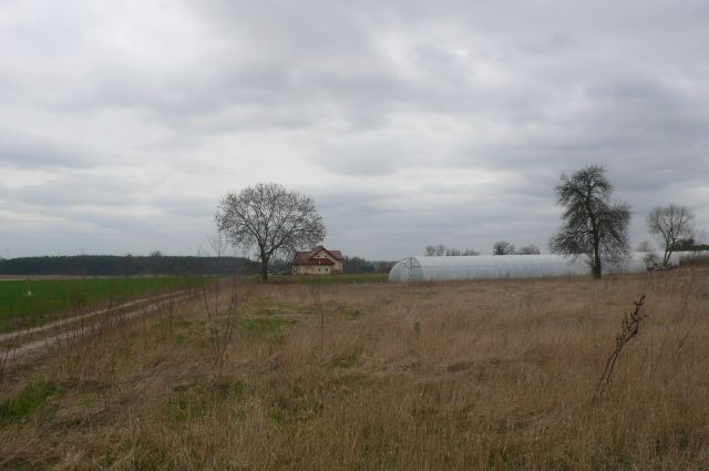 DZIAŁKA BUDOWLANA ,5300 m2 -Sobota , gmina Rokietnica  — zdjęcie 5