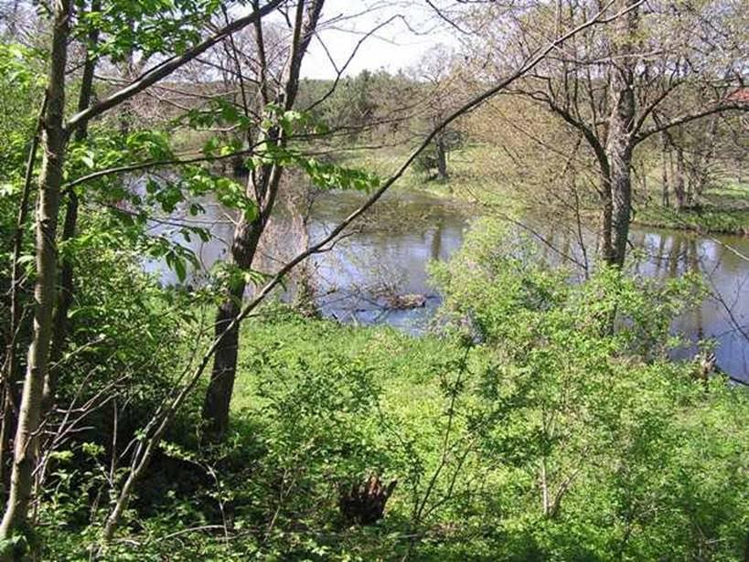 Oddam w dzierżawę  grunty rolne, Tarnówka, powiat Złotów, 29 ha — zdjęcie 4