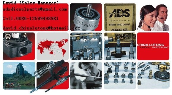 fuel injection parts,auto mobile parts, auto spare
