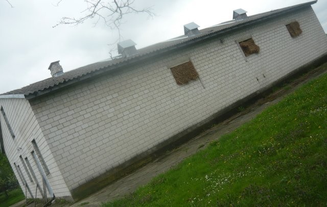 wynajme hale 12x20 — zdjęcie 3