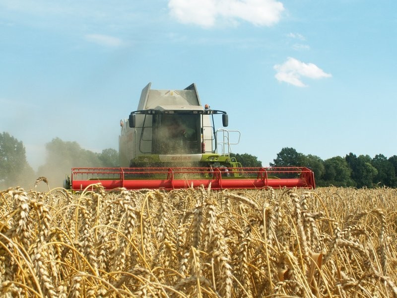 usługi agrotechniczne — zdjęcie 4