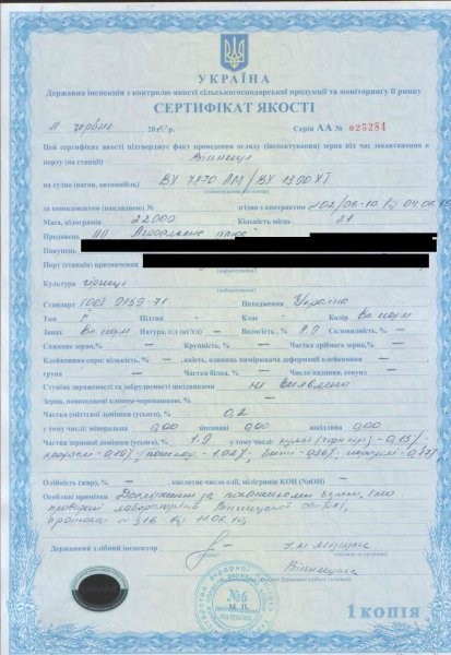 Gorczyca (sinapis alba) ta inne towary z Ukrainy — zdjęcie 2