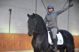 Czarny piękny koń fryzyjski klacz na sprzedaż — zdjęcie 1