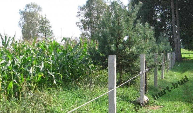 SŁUPY BETONOWE DO OGRODZENIA PASTWISKA — zdjęcie 1