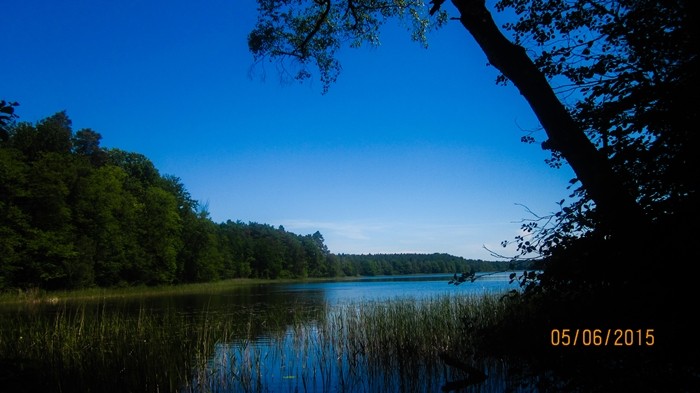 Działkę 1,86 ha sprzedam — zdjęcie 3