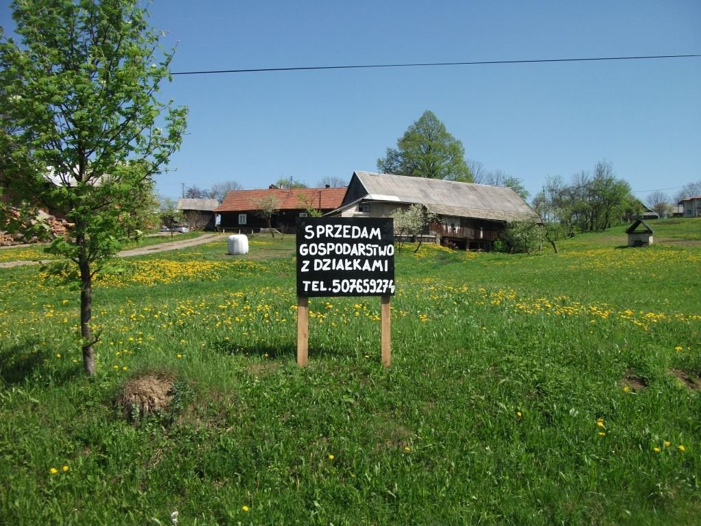 Gospodarstwo wraz z działkami