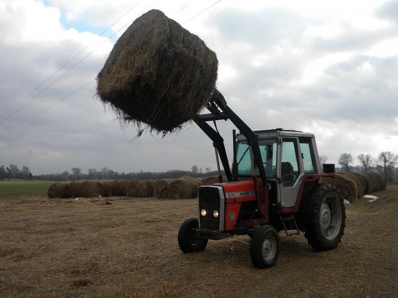 massey ferguson 675 z turem — zdjęcie 3