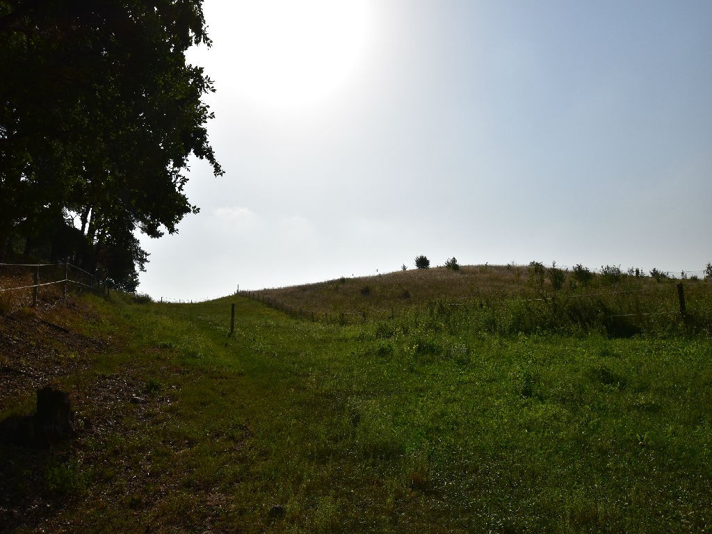 Na Sprzedaż Gospodarstwo Rolne , 507 799 m2 , Szczecin - Czepino  — zdjęcie 2