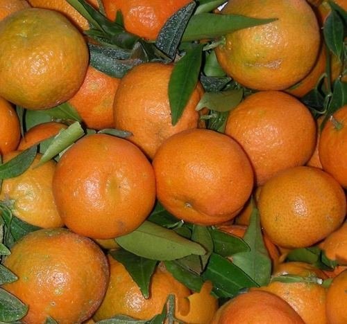 Klementynki Import