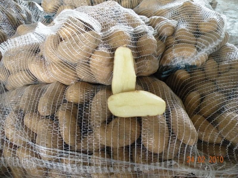 sprzedam ziemniaki biale jadalne 602364773 — zdjęcie 1