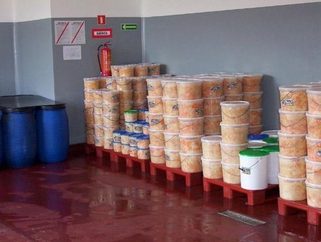 Kapusta i ogórki kwaszone — zdjęcie 1