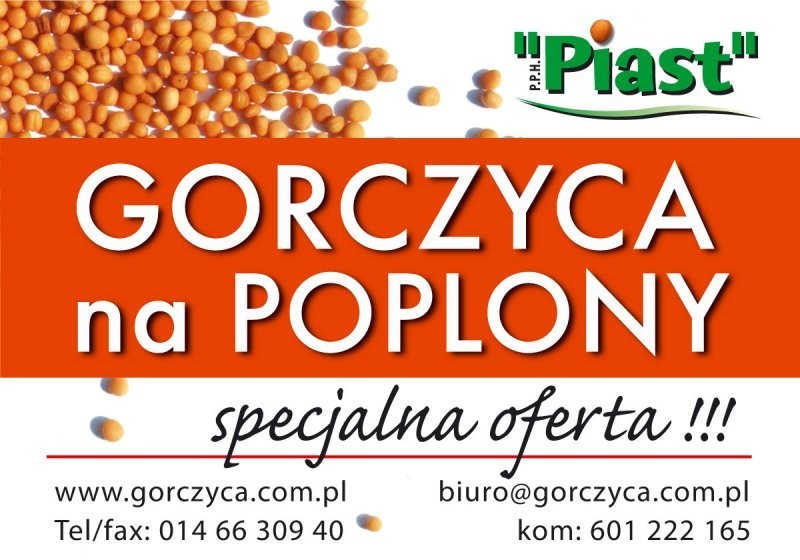 Gorczyca na poplony !!! OKAZJA !!!