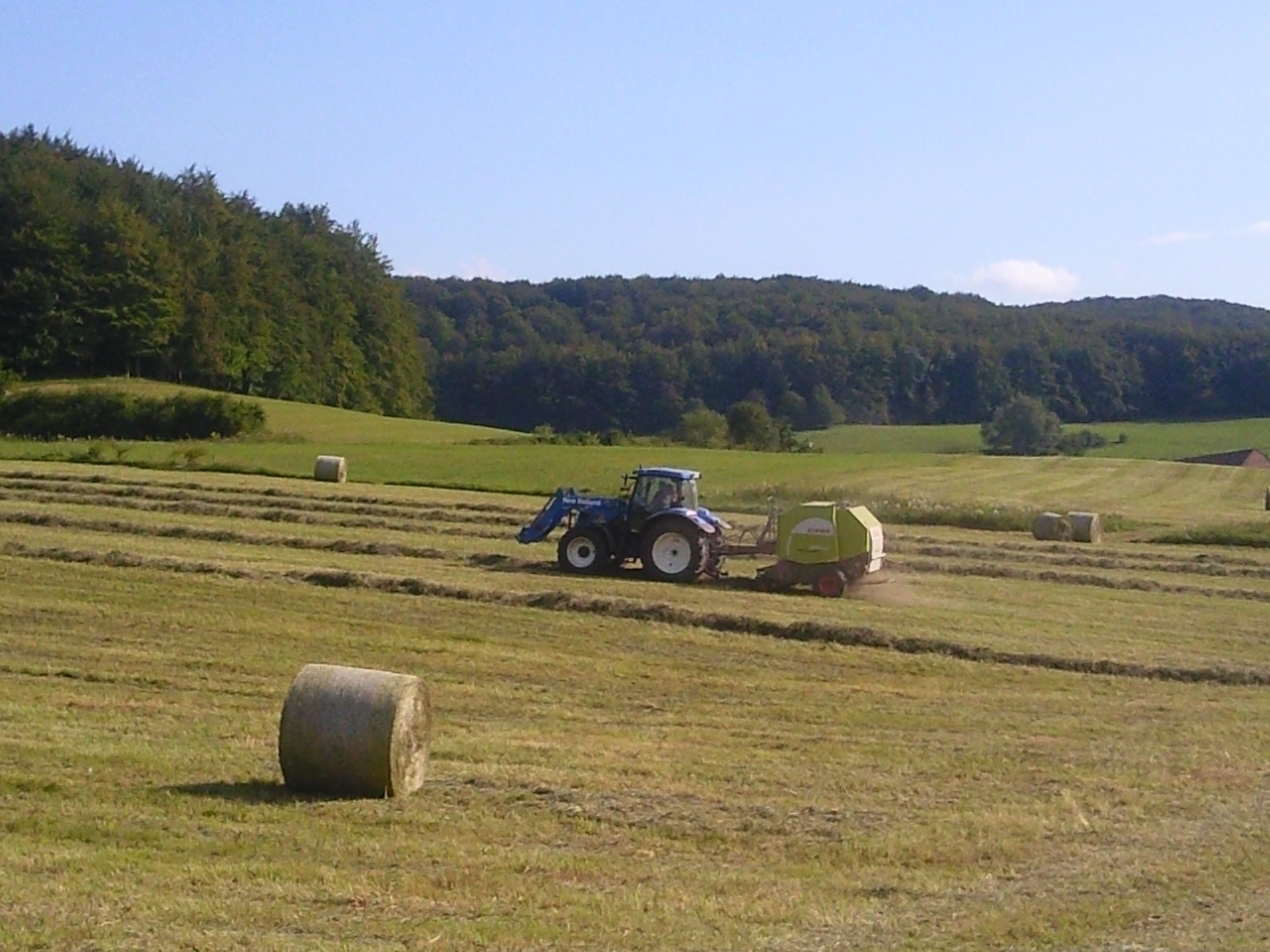 Heu/ Stroh/ Silage