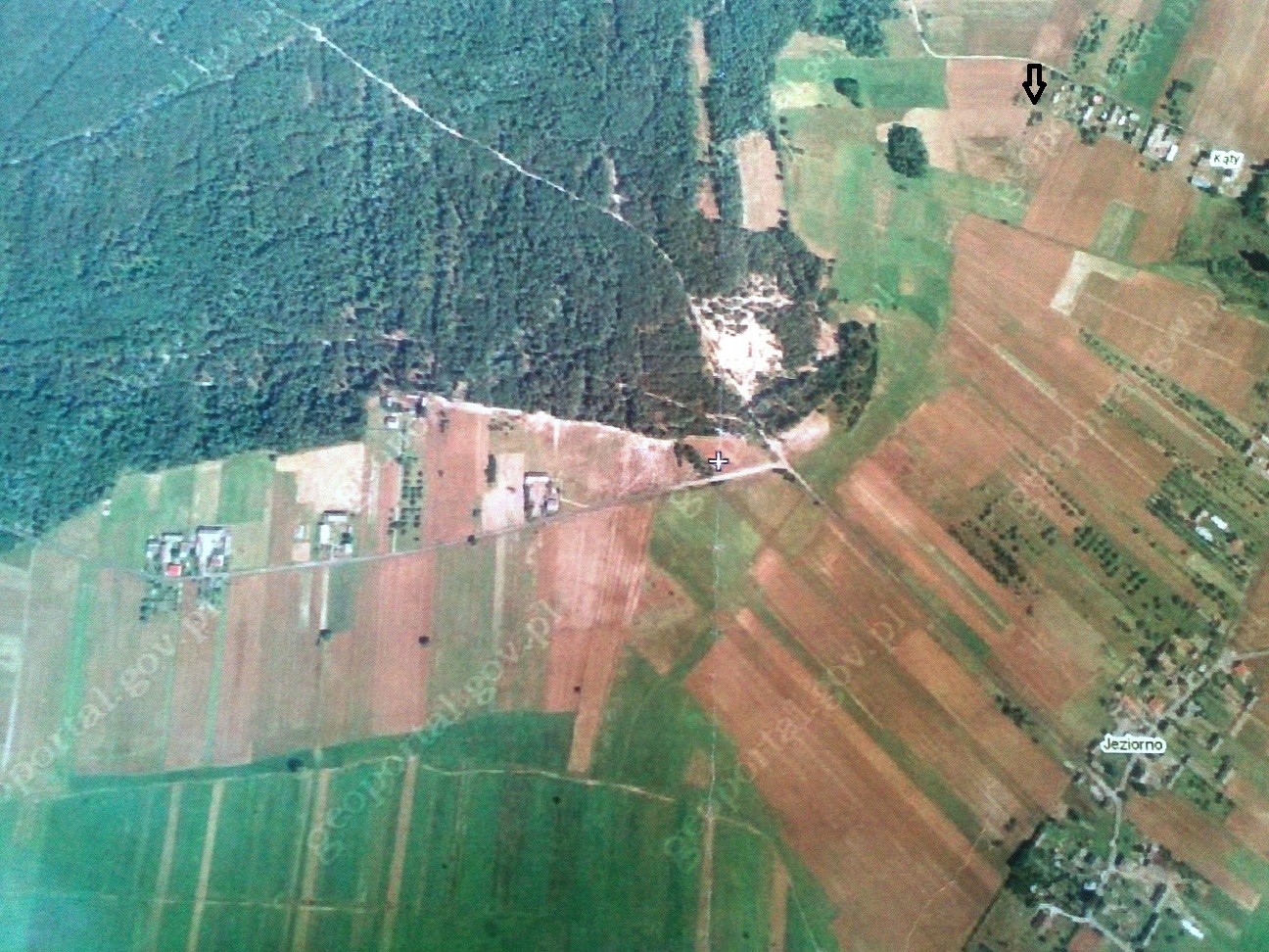 Pilnie : Siedlisko 3,17 ha Puszcza Stromiecka (ew. zamiana). — zdjęcie 4