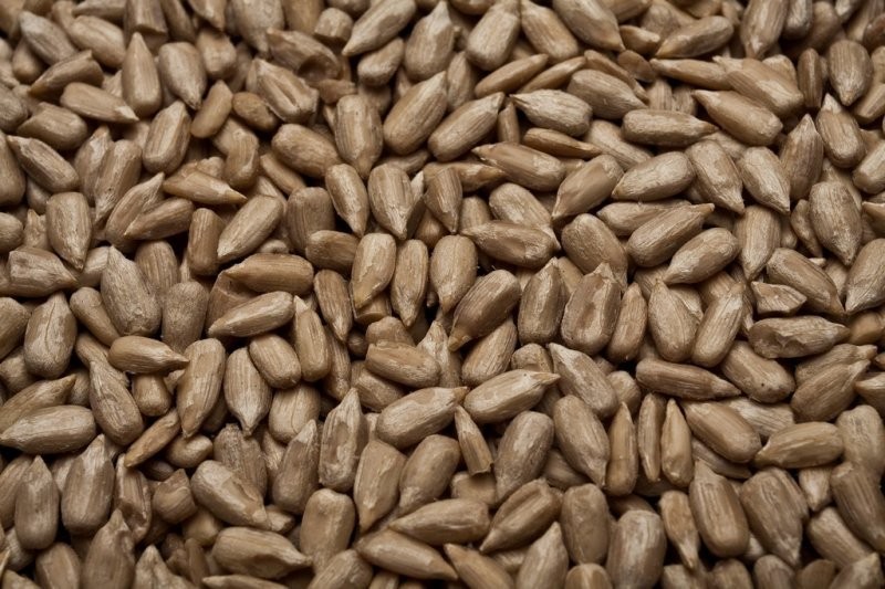 SUNFLOWER KERNELS