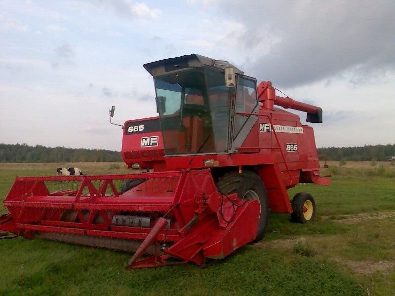 Kombajn zbożowy  Massey Ferguson 665 — zdjęcie 1