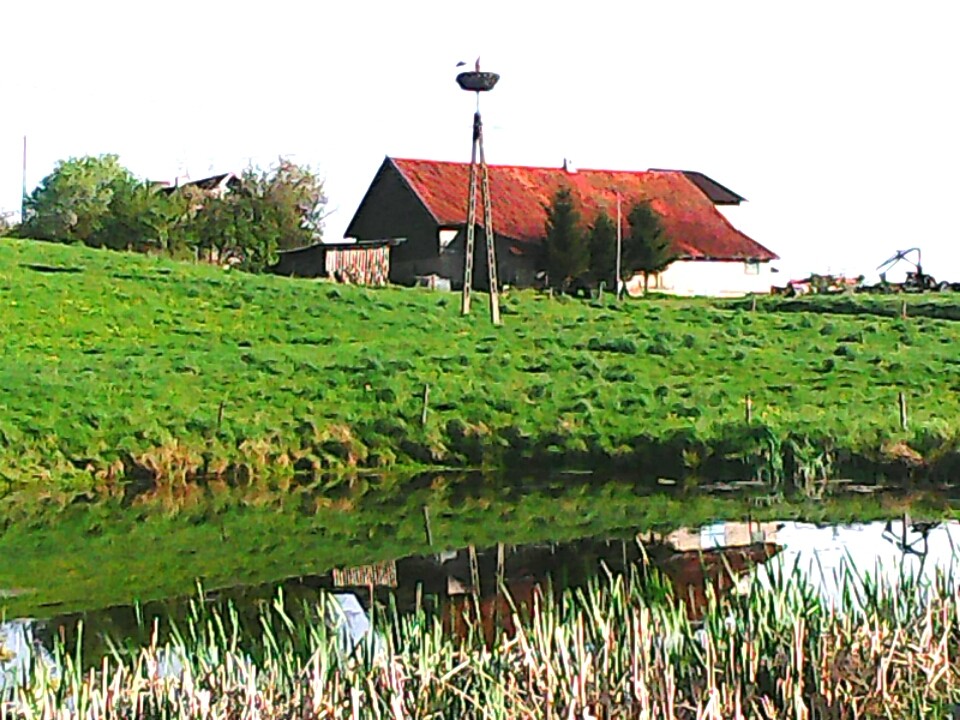 Gospodarstwo rolne — zdjęcie 5