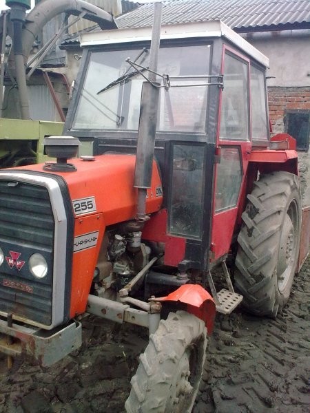 Massey Ferguson MF-255 — zdjęcie 3