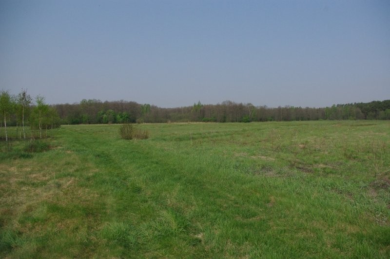 Piekna dzialka na mala agroturystyke - mazowieckie — zdjęcie 1