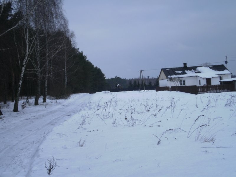 Gospodarstwo rolne z budynkami — zdjęcie 2