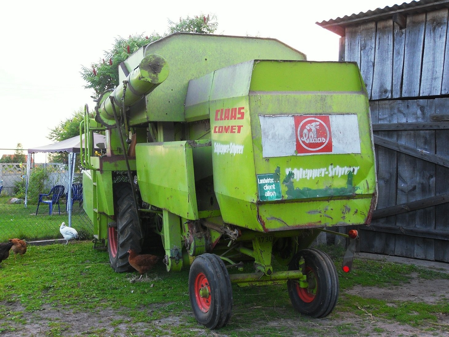Claas Comet - 1969 — zdjęcie 3