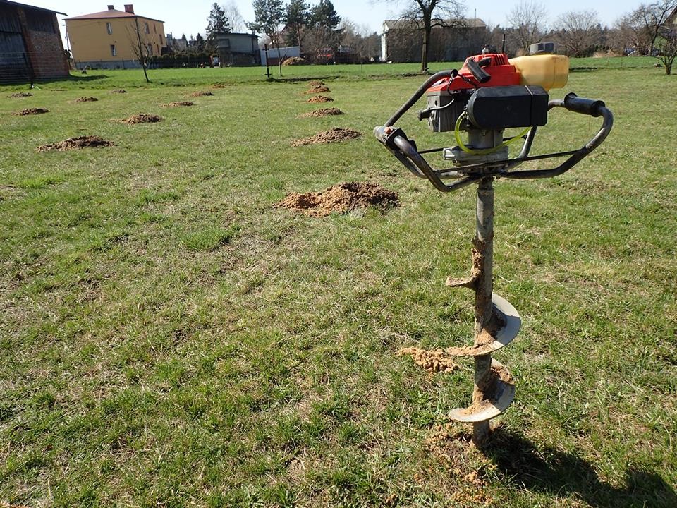 OXYTREE -  najlepsza odmiana drzew szybko rosnących — zdjęcie 6