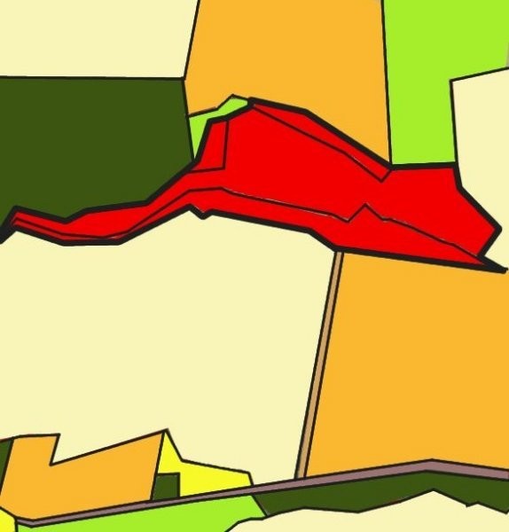 Działka komercyjna w gm. Maszewo — zdjęcie 4