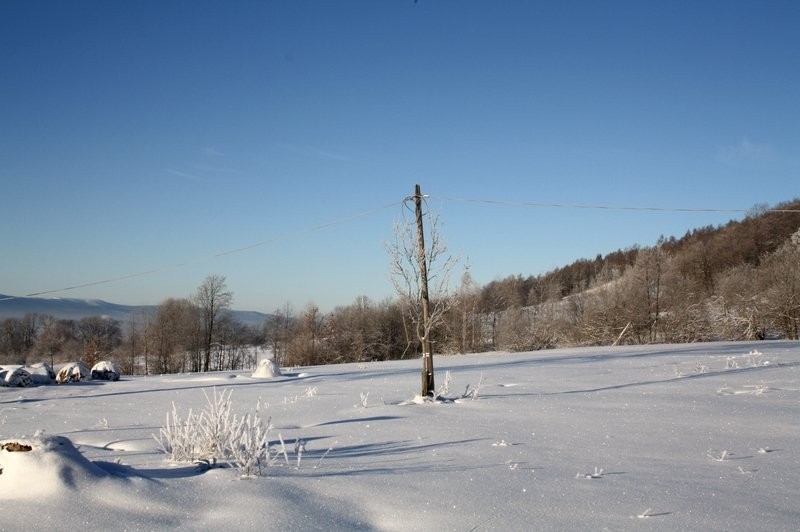 Karkonosze 2,39 ha — zdjęcie 5
