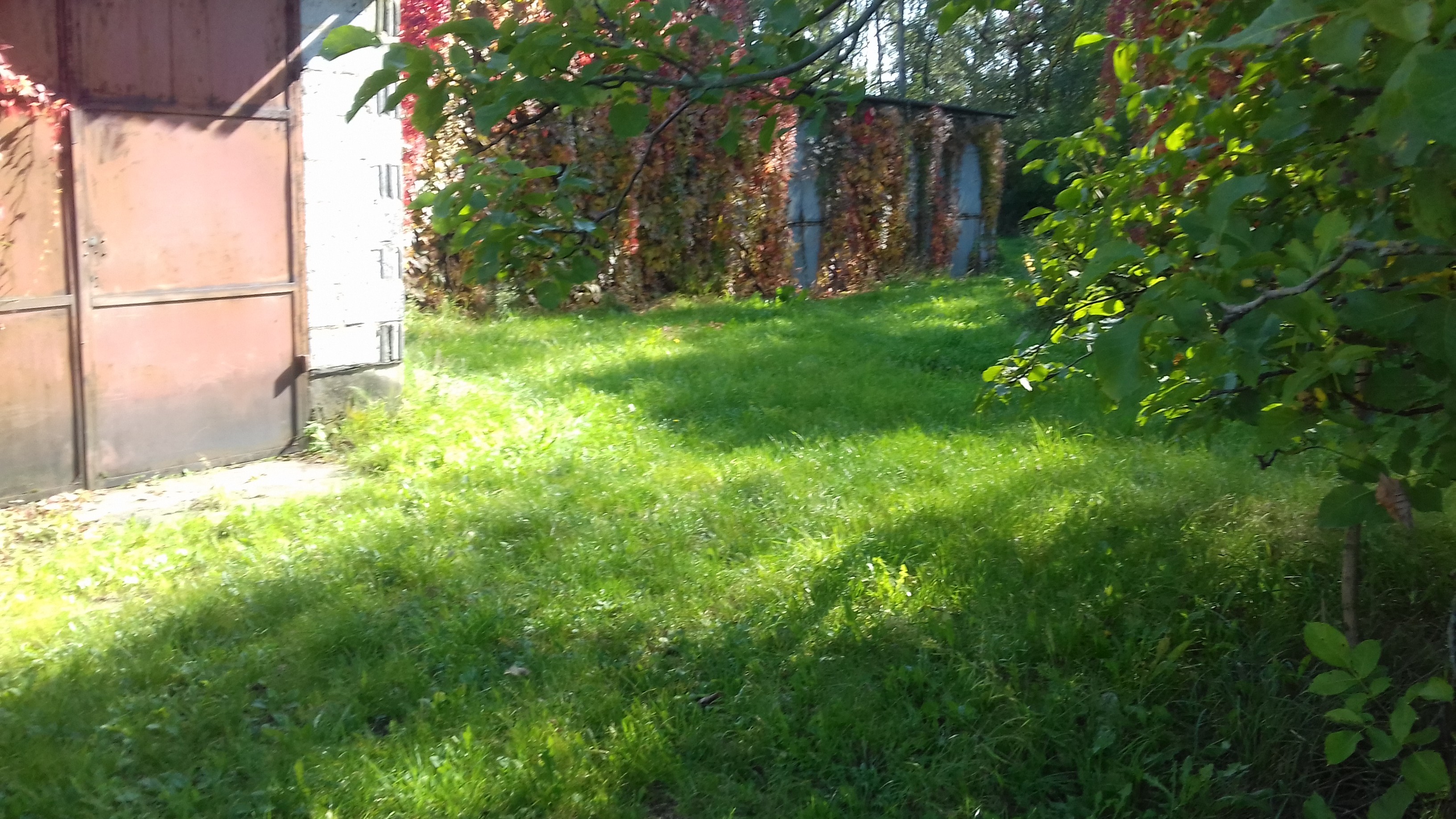 Sprzedam gospodarstwo rolne Gołębie (okolice Nasielska) — zdjęcie 3