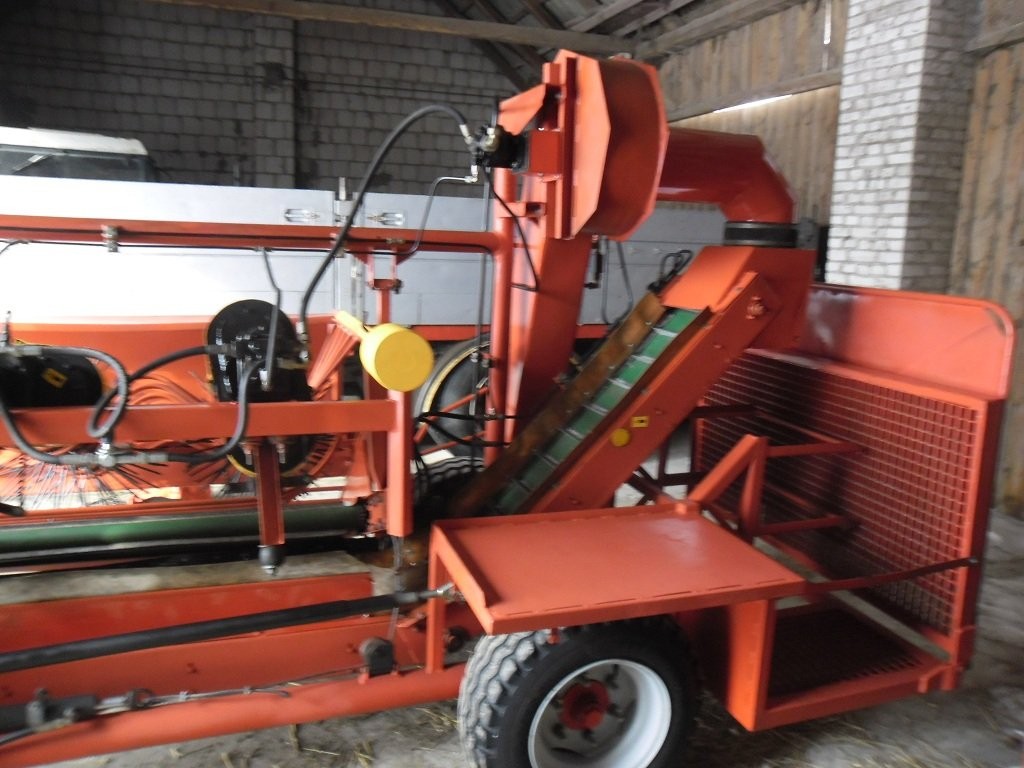 Sfamasz Arek 3 - 2005 — zdjęcie 3