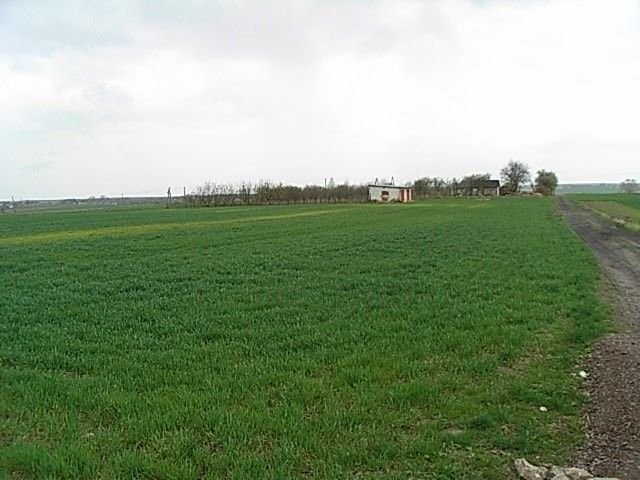 Sprzedam ziemię w okolicach Lublina (2,5ha) — zdjęcie 3